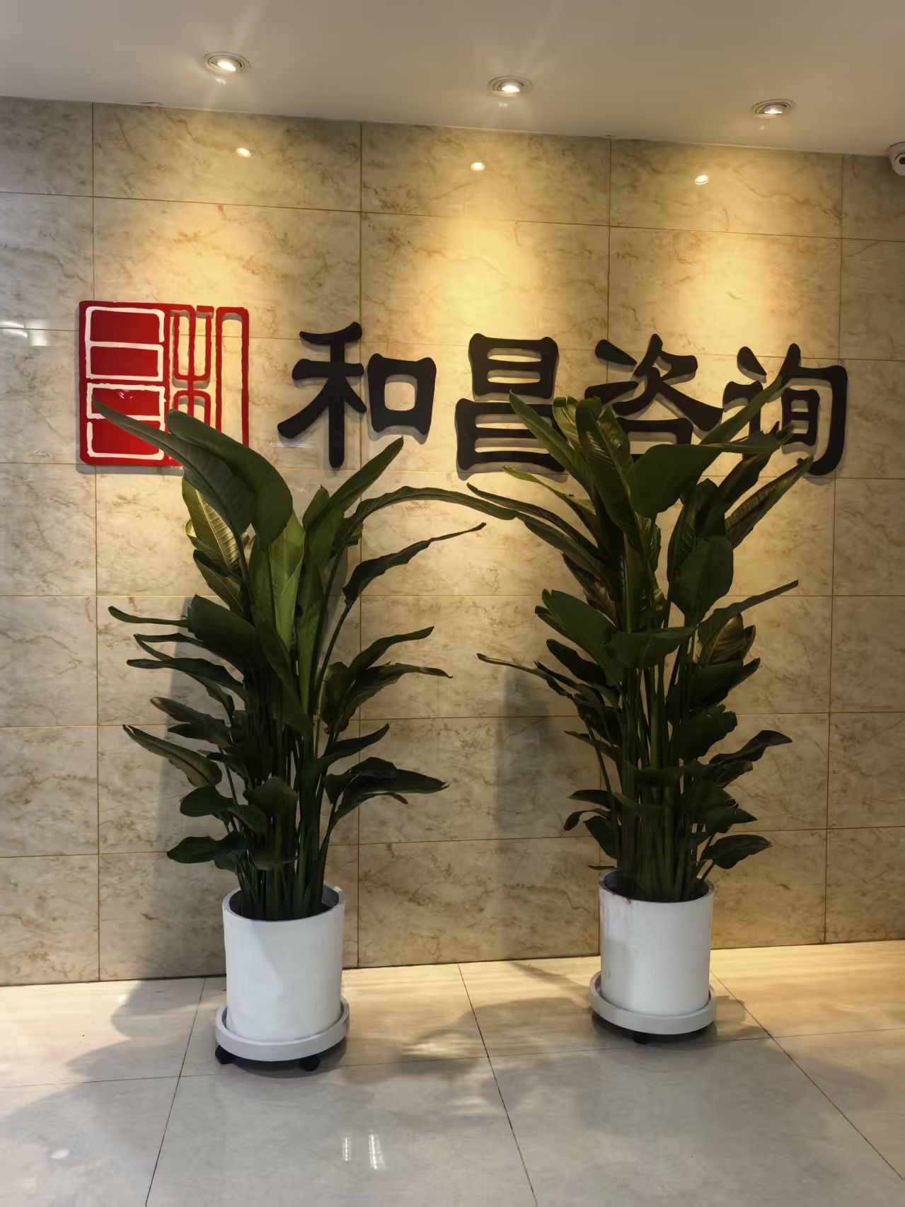 和昌咨询背景墙